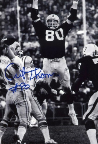 Art thoms oakland raiders auto - oakland,