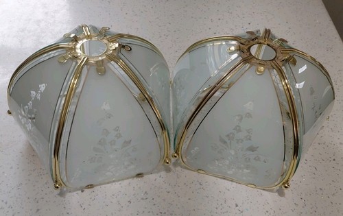 Frosted glass floral gold trim - glass,