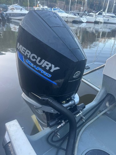 Pair mercury seapro - pair, of