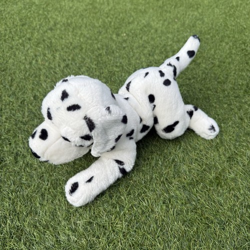 Animal alley dalmatian dog - animal,
