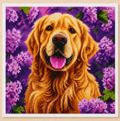 Diamond painting golden - 5d,