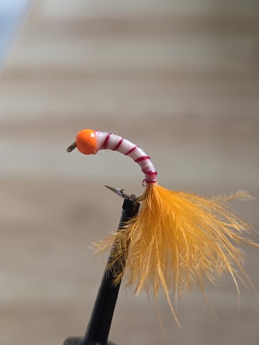 Orange bug fly fishing wet - ,
