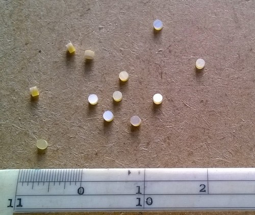 Gold mother of pearl - 12,