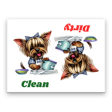 Australian Silky Terrier Clean