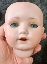 MOA Welsch ANTIQUE  BISQUE