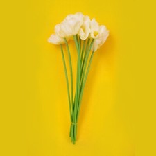 10 silk fake flowers white cream ivory tulip poppies 35cm