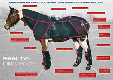 8 Year Old Combi Pro I PEMF and Massage Rug