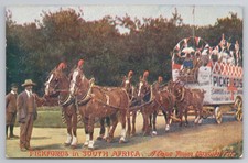 Edwardian South Africa Postcard Pickfords Horse & Wagon Cape Town Hospital Fete