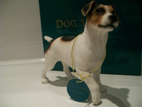 Luxury jack russell - luxury,