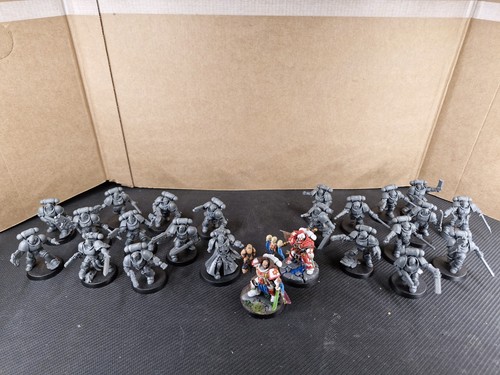 White scars space marine - white,
