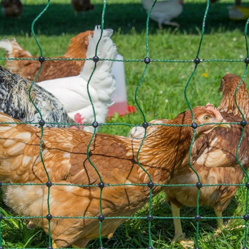 Electric poultry netting - netting, 50m