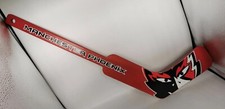 Manchester phoenix ice hockey - ice,