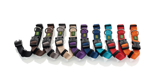 Dog collar vario basic - dog, \