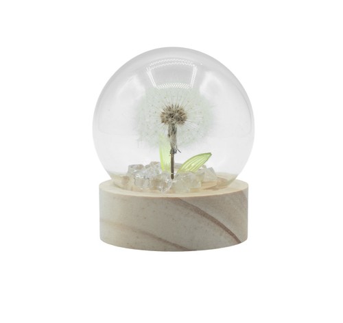 Flowers floral dandelion - flowers,