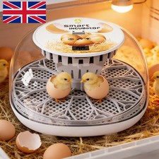 Incubators for Hatching Eggs