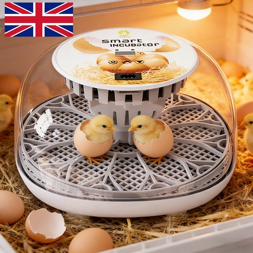 Incubators for hatching - for,