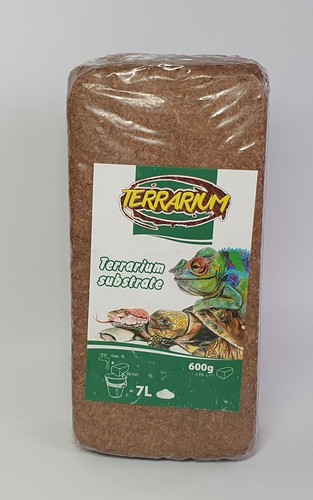 600g snake spider reptile - snake,