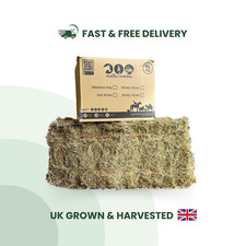 Timothy hay grass box high - timothy,