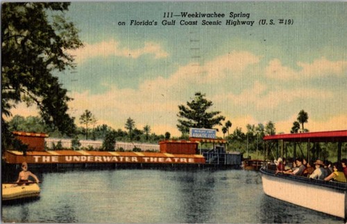 Weeki wachee postcard - weeki,