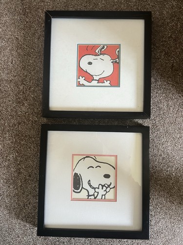 Box framed snoopy - box, pictures