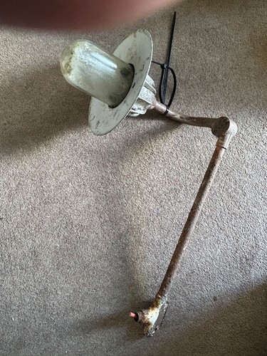 Coughtrie lamp light