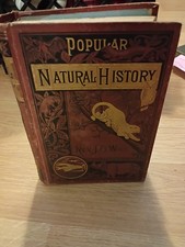 1883  Illustrated Popular