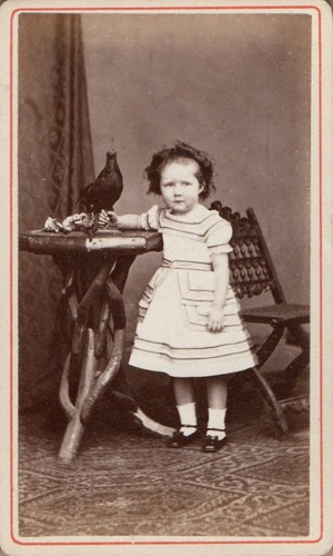 King sydenham cdv - sydenham,