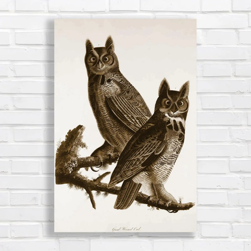 Great horned owl nature sepia - great,