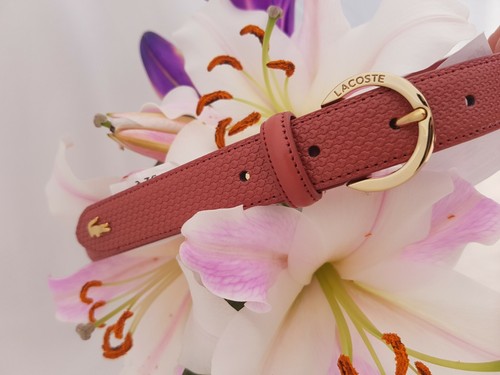 Lacoste women split - women, cow