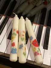 CATH KIDSTON PARADISE FIELDS