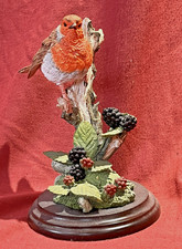 Rare Country Artists Robin