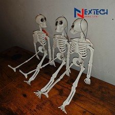 Halloween Skeleton Hanging