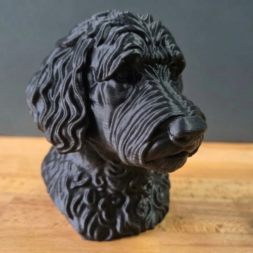 Labradoodle bust home - home, decor