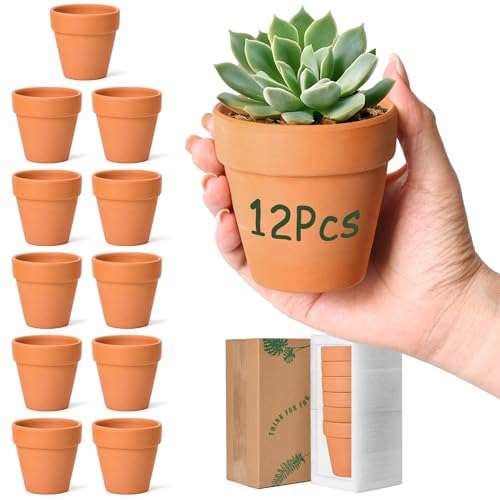 T4u 5cm terracotta - 6.5cm,