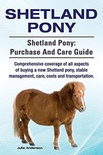 Shetland Pony. Shetland Pony