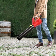 Leaf Blower w/Batteries &