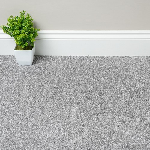 Light grey budget - grey, saxony