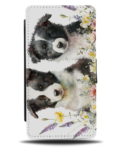 Border collie puppies - collie,