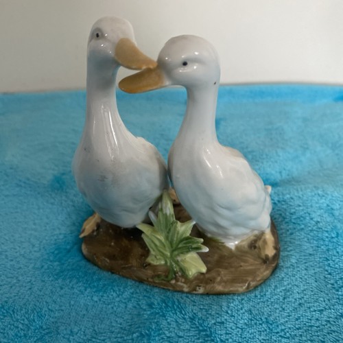 Goose geese pair - geese,