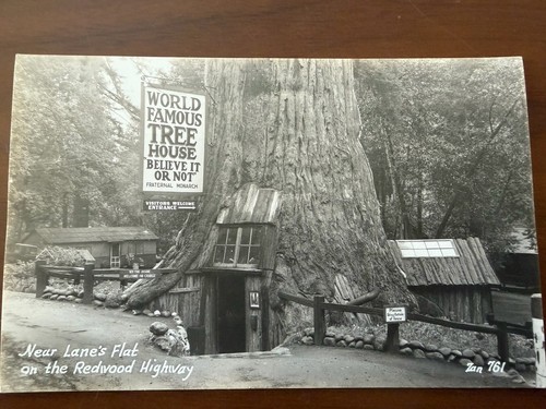 Rppc world famous tree - rppc, house
