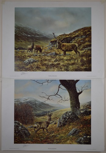 Roe deer red - 2, signed