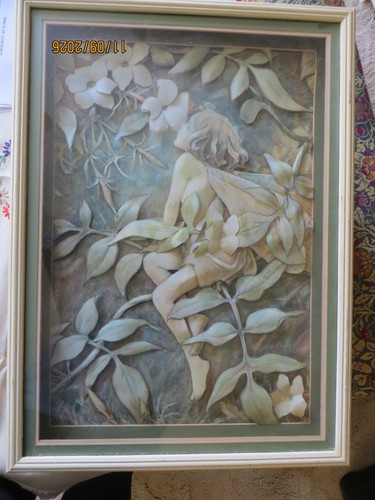 Framed flower fairy vintage - flower,