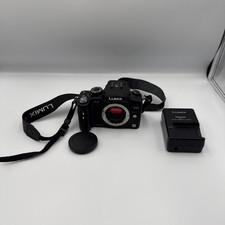 Panasonic LUMIX DMC-G2 12.1MP