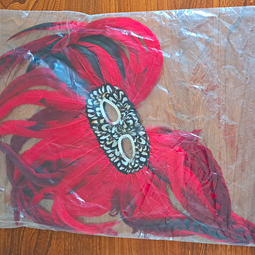 Red feather venetian half - half, eye