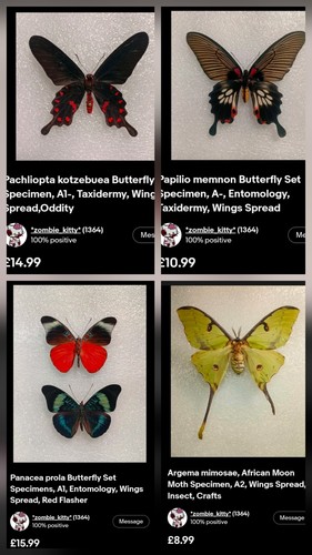 Custom listing for veronika - listing,