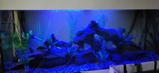 Jewel 4ft Fish Tank On Stand