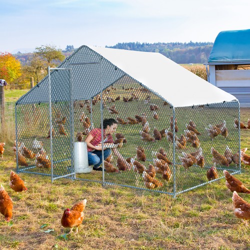 Metal chicken run cage - run, in