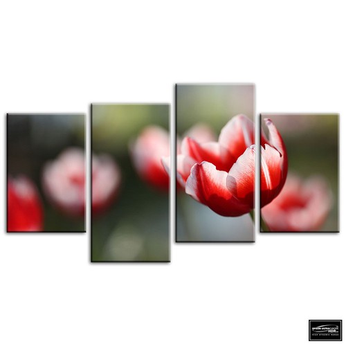 Tulip flowers floral box - ,