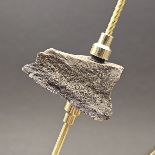 Genuine sauropod dinosaur bone - genuine,