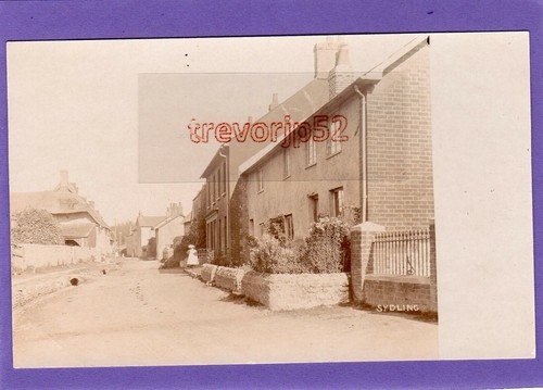 Sydling nicholas cerne - nr,